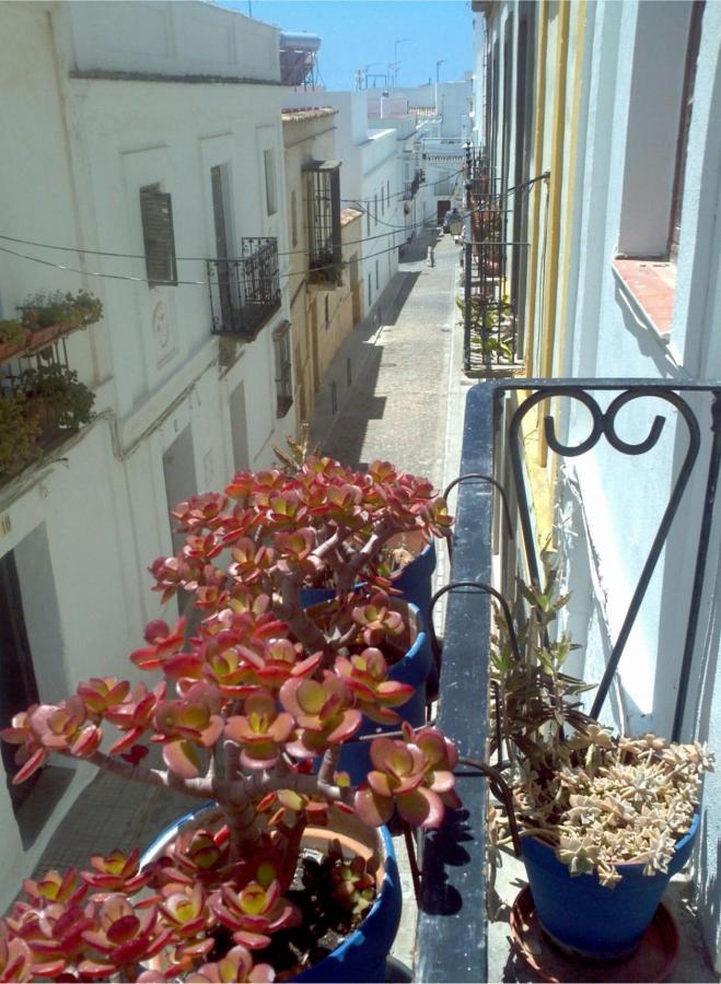 Acogedor Estudio En Casco Antiguo Lägenhet Tarifa Exteriör bild